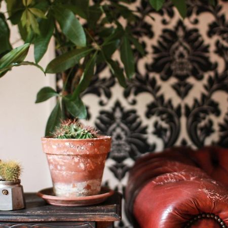 Coliving Trastevere Řím Exteriér fotografie