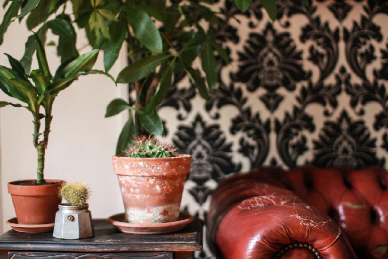 Coliving Trastevere Řím Exteriér fotografie